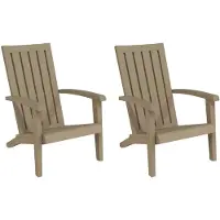 vidaXL Tuinstoelen Adirondack 2 st polypropeen lichtbruin