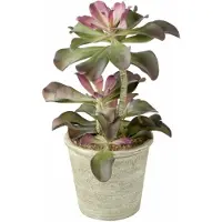 Parlane Kunst Echeveria in polyresinen sierpot - 15 x 15 x 43 cm
