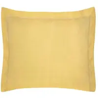 Eurofirany Decoratieve Kussensloop Nova Color 70x80cm - Katoen met Glans