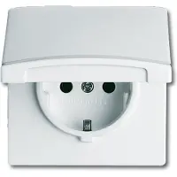 Technim Abb Busch-Jaeger Wcd Ra 1-Voudig + Klep Inbouw Ip44 Alpin Wit Allweather
