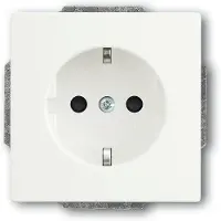 ABB Busch-Jaeger Future Wandcontactdoos (WCD-Schakelmateriaal) - 2CKA002011A3895