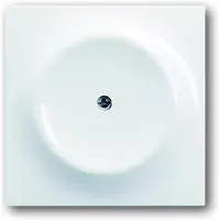 ABB Busch-Jaeger Impuls Bedieningselement/Centrale Plaat Schakelmateriaal - 2CKA001753A4930
