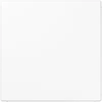 JUNG Nepgenuine schijf, alpine wit - Afdekking voor blindgat, model LS 961 B WW