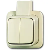 Abb Busch-Jaeger Bj 2xseriesch 2601/5apj-mp-ap opb creme