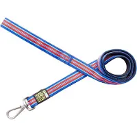 Max & Molly Hampton Strip Hondenlijn / Hondenriem - Polyester - Blauw - S - Breedte: 1,5 cm - Lengte: 120 cm