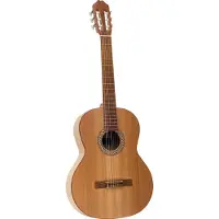 Juan Salvador 1C 4/4-formaat klassieke gitaar
