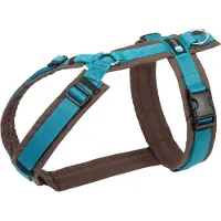 AnnyX hondentuig-harnas- Y-tuig-BRUIN-PETROL-maat L-geschikt voor borst omtrek 70 tot 86cm-gewicht 26-38kg