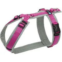AnnyX Hondentuig - FUN - Speurtuig - Fuchsia/Grijs - maat XXS - Borstomvang 36-42cm - Gewicht hond 3 -7 kg