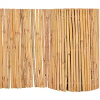vidaXL Scherm 500x30 cm bamboe