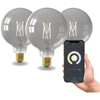 Calex Smart LED Lamp - E27 - G125 - Titanium - 7W - 3 stuks