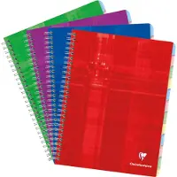 Clairefontaine Wirebound Notebook - Grafiek met 12 tabbladen 60 vellen - 6 3/4