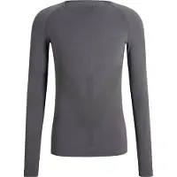 Falke heren lange mouw shirt Warm - thermoshirt - grijs (concrete)