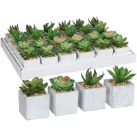 Mica Decorations Decoratieve plant Mica Decorations 8 x 5 cm PVC Vetplant