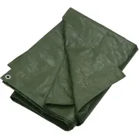 vidaXL Dekzeil 180 g/m² 6x6 m HDPE groen