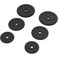 vidaXL Halterschijven 6 st 30 kg gietijzer