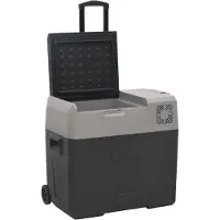 vidaXL Koelbox met wielen en adapter 50 L polypropeen zwart en grijs