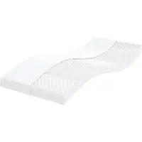 vidaXL Schuimmatrassen 2 st 7 zones hardheid 20 ILD 100x200 cm wit