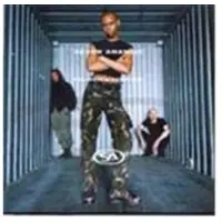 Konkurrent Skunk Anansie - Paranoid & Sunburnt (CD)