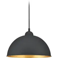 TRIO 2 Fase Rail Hanglamp Duoline Ø 31cm