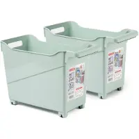 Forte Plastics Plasticforte opberg Trolley Container - 2x - mintgroen - L38 x B18 x H26 cm - kunststof - Opberg trolley
