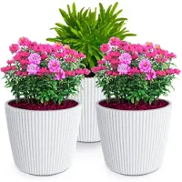Prosperplast Plantenpot/bloempot Buckingham - 3x - kunststof - ivoor wit - D17 x H15 cm - Plantenpotten