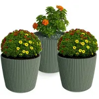 Prosperplast Plantenpot/bloempot Buckingham - 3x - kunststof - dennengroen - D14 x H13 cm - Plantenpotten