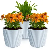 Prosperplast Plantenpot/bloempot Buckingham - 3x - kunststof - lichtgrijs - D14 x H13 cm - Plantenpotten