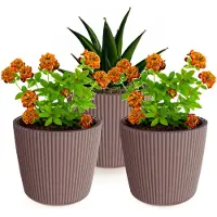 Prosperplast Plantenpot/bloempot Buckingham - 3x - kunststof - terra bruin - D17 x H15 cm - Plantenpotten
