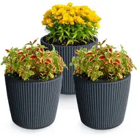Prosperplast Plantenpot/bloempot Buckingham - 3x - kunststof - antraciet - D17 x H15 cm - Plantenpotten
