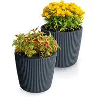 Prosperplast Plantenpot/bloempot Buckingham - 2x - kunststof - antraciet - D14 x H13 cm - Plantenpotten