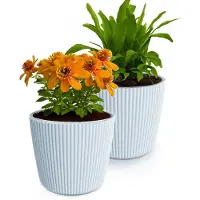 Prosperplast Plantenpot/bloempot Buckingham - 2x - kunststof - lichtgrijs - 23 x 21 cm - Plantenpotten