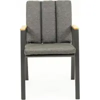 Vita Stapelstoel Kunststof Leather Fauteuil Antraciet