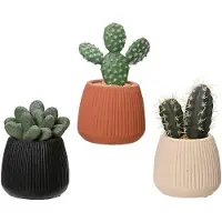 EDM Decoratieve plant EDM 808448 Cactus 14 cm