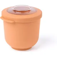 Amuse Tylla Peach Life Bowl - Lunchbox - Perfect Afsluitbare Verhouddoos - Voor onderweg - Oranje - 500 ml