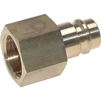 Tameson Vernikkeld Messing DN 19 Luchtkoppeling Insteeknippel G 1 1/4 inch Binnendraad