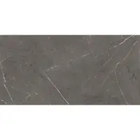 Abk Imoker Tegel 60 x 120 cm - Stone Grey - Keramiek - Rechthoekig - 2 stuks - 1,44 m2 - Marmerlook - Vloertegels - Wandtegels - Tegels - PF60006313