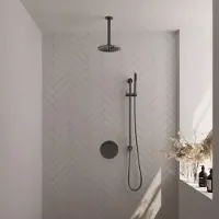 Brauer Gunmetal Carving thermostatische inbouw regendouche 3-weg rond SET 89 met 20 cm douchekop en plafondarm en staaf handdouche en doucheslang en geïntegreerde glijstang gunmetal geborsteld PVD