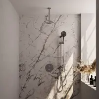 Brauer Edition Inbouw Regendoucheset 3-weg Rond - 20cm Hoofddouche - Plafondarm - 3 Standen Handdouche - Glijstang - Geborsteld RVS PVD - Messing - Kranen, Douchekranen, Douchesets, Inbouw douchesets