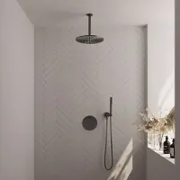 Brauer Gunmetal Edition thermostatische inbouw regendouche 3-weg rond SET 78 met 30 cm douchekop en plafondarm en staaf handdouche en doucheslang en wandaansluitbocht gunmetal geborsteld PVD