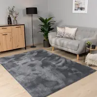 Paco Home Vloerkleed Woonkamer Laagpolig Wasbaar In Wasmachine Eenkleurig Zacht 80x150 cm