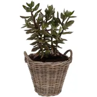 Pro Garden Planten/bloemen mand Cuba - rotan - lichtbruin - D38 x H36 cm - plantenpot voor buiten - Plantenpotten