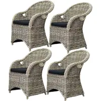 AVH-Collectie 4 stuks Macau dining tuinstoel met handgat naturel rotan