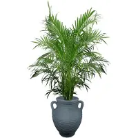 Prestige 35L grijze plantenbak - Athene