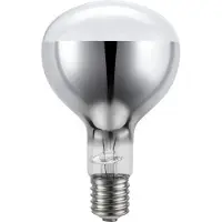 Schiefer E39 R135 Reflector Gloeilamp | 300W 2700K 220V 360° | Dimbaar