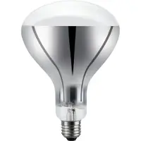 Schiefer E26 R120 Reflector Gloeilamp | 200W 2700K 220V 360° | Dimbaar
