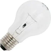 Schiefer E27 Gloeilamp | 25W 2700K 150lm 80V | Dimbaar