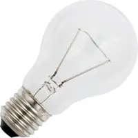 Schiefer 10X Schiefer E27 Gloeilamp | 25W 2700K 200lm 42V | Dimbaar