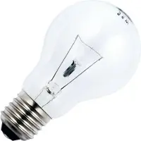 Schiefer E27 Gloeilamp | 60W 2700K 650lm 48V | Dimbaar