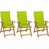 vidaXL Tuinstoelen 3 st inklapbaar met kussens massief acaciahout