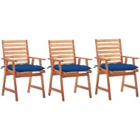 vidaXL Tuinstoelen 3 st met kussens massief acaciahout